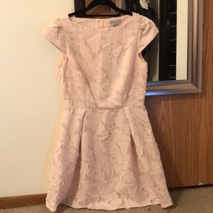 NWT beautiful blush dress